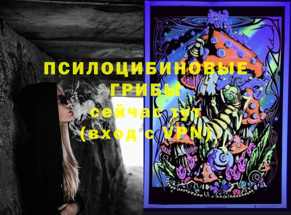 мдпв Горнозаводск