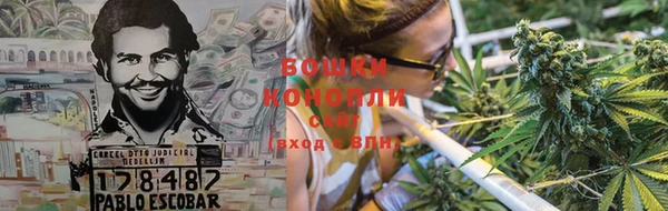соль ск Горно-Алтайск